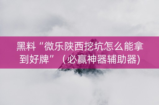 黑料“微乐陕西挖坑怎么能拿到好牌”（必赢神器辅助器)