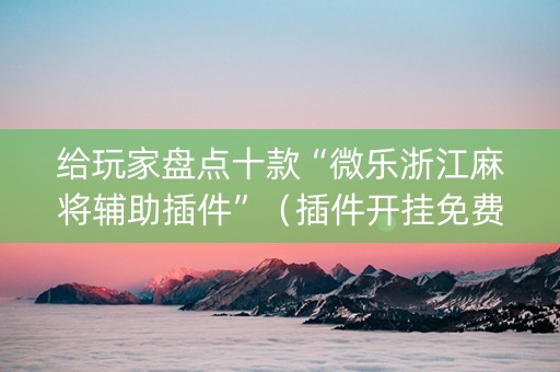 给玩家盘点十款“微乐浙江麻将辅助插件”（插件开挂免费AI)