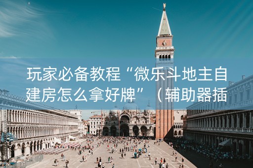 玩家必备教程“微乐斗地主自建房怎么拿好牌”（辅助器插件)