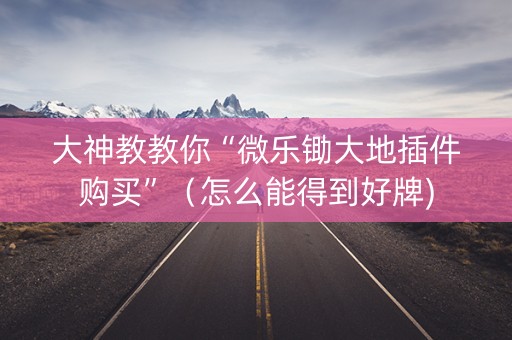 大神教教你“微乐锄大地插件购买”（怎么能得到好牌)