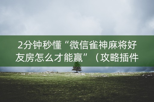2分钟秒懂“微信雀神麻将好友房怎么才能赢”（攻略插件)