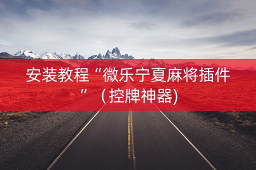 安装教程“微乐宁夏麻将插件”（控牌神器)