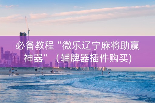 必备教程“微乐辽宁麻将助赢神器”（辅牌器插件购买)