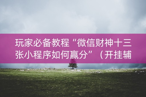 玩家必备教程“微信财神十三张小程序如何赢分”（开挂辅助插件)
