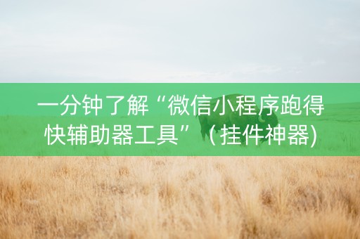 一分钟了解“微信小程序跑得快辅助器工具”（挂件神器)