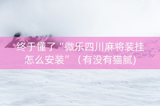 终于懂了“微乐四川麻将装挂怎么安装”（有没有猫腻)