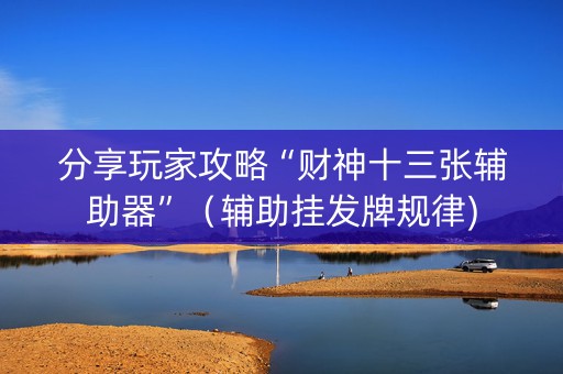 分享玩家攻略“财神十三张辅助器”（辅助挂发牌规律)