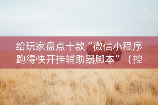 给玩家盘点十款“微信小程序跑得快开挂辅助器脚本”（控牌神器)