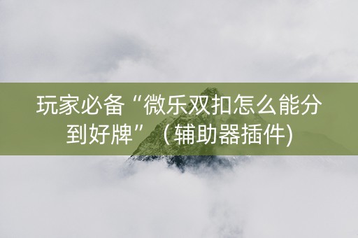 玩家必备“微乐双扣怎么能分到好牌”（辅助器插件)