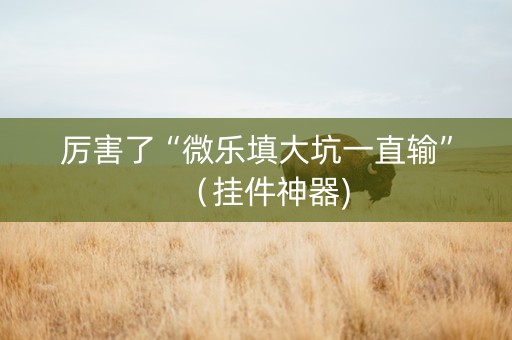 厉害了“微乐填大坑一直输”（挂件神器)