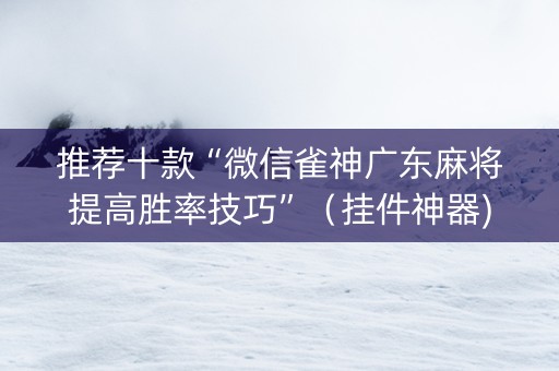 推荐十款“微信雀神广东麻将提高胜率技巧”（挂件神器)