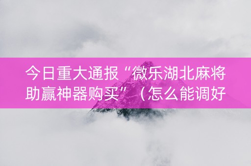 今日重大通报“微乐湖北麻将助赢神器购买”（怎么能调好牌)
