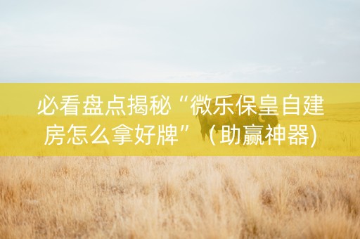 必看盘点揭秘“微乐保皇自建房怎么拿好牌”（助赢神器)