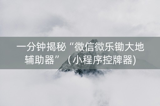 一分钟揭秘“微信微乐锄大地辅助器”（小程序控牌器)