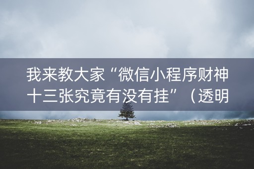 我来教大家“微信小程序财神十三张究竟有没有挂”（透明器教程)
