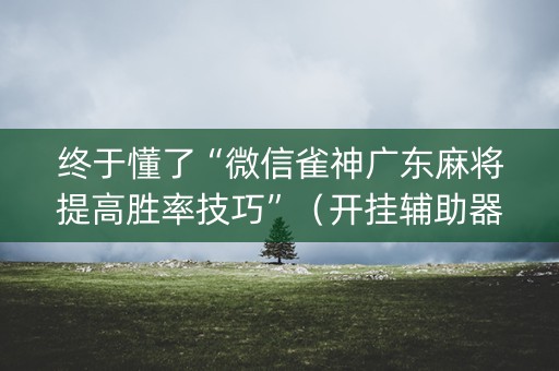 终于懂了“微信雀神广东麻将提高胜率技巧”（开挂辅助器脚本)