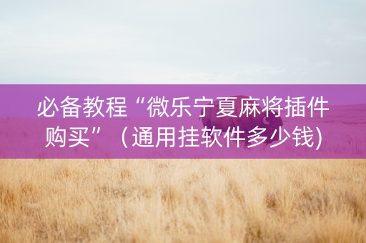 必备教程“微乐宁夏麻将插件购买”（通用挂软件多少钱)