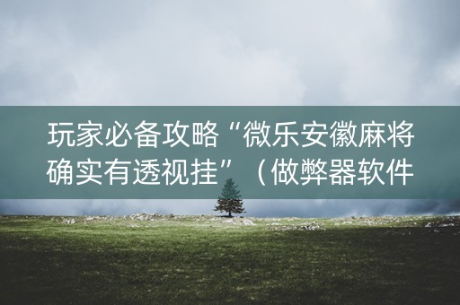 玩家必备攻略“微乐安徽麻将确实有透视挂”（做弊器软件下载)