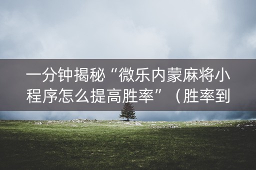 一分钟揭秘“微乐内蒙麻将小程序怎么提高胜率”（胜率到哪调)