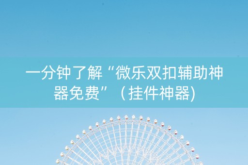 一分钟了解“微乐双扣辅助神器免费”（挂件神器)