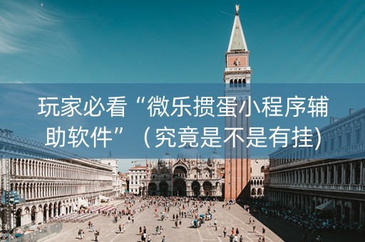 玩家必看“微乐掼蛋小程序辅助软件”（究竟是不是有挂)