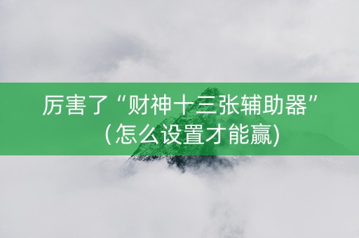 厉害了“财神十三张辅助器”（怎么设置才能赢)