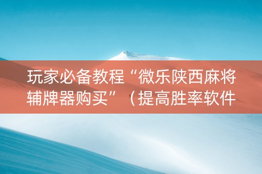玩家必备教程“微乐陕西麻将辅牌器购买”（提高胜率软件)
