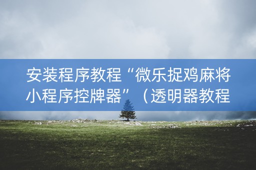 安装程序教程“微乐捉鸡麻将小程序控牌器”（透明器教程)