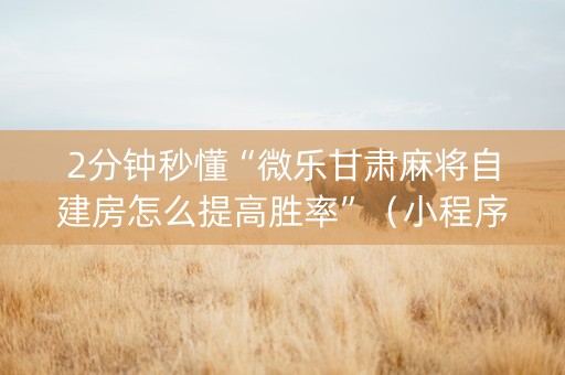 2分钟秒懂“微乐甘肃麻将自建房怎么提高胜率”（小程序必赢神器)