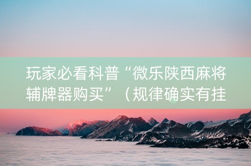 玩家必看科普“微乐陕西麻将辅牌器购买”（规律确实有挂)