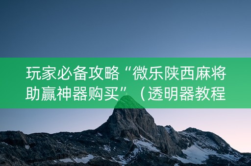 玩家必备攻略“微乐陕西麻将助赢神器购买”（透明器教程)