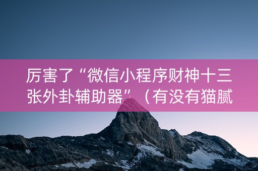 厉害了“微信小程序财神十三张外卦辅助器”（有没有猫腻)