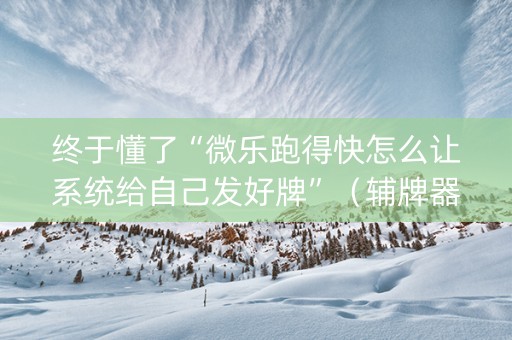 终于懂了“微乐跑得快怎么让系统给自己发好牌”（辅牌器插件购买)