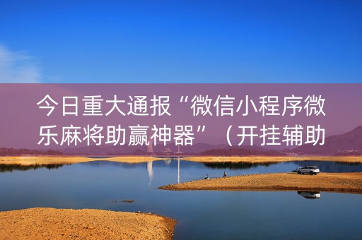 今日重大通报“微信小程序微乐麻将助赢神器”（开挂辅助脚本)