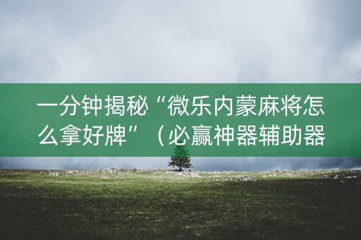 一分钟揭秘“微乐内蒙麻将怎么拿好牌”（必赢神器辅助器)
