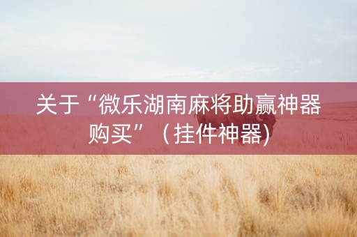 关于“微乐湖南麻将助赢神器购买”（挂件神器)