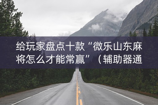 给玩家盘点十款“微乐山东麻将怎么才能常赢”（辅助器通用版)