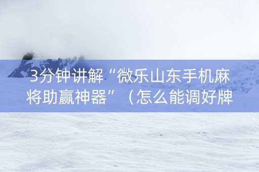 3分钟讲解“微乐山东手机麻将助赢神器”（怎么能调好牌)
