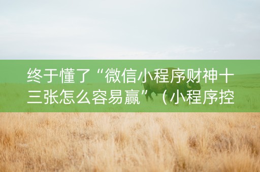终于懂了“微信小程序财神十三张怎么容易赢”（小程序控牌器)