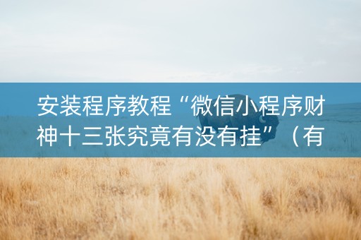 安装程序教程“微信小程序财神十三张究竟有没有挂”（有什么规律)