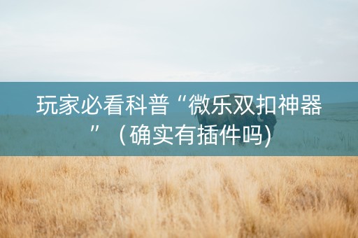 玩家必看科普“微乐双扣神器”（确实有插件吗)