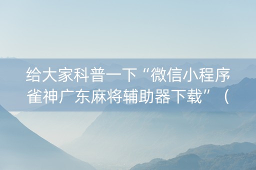 给大家科普一下“微信小程序雀神广东麻将辅助器下载”（胜率到哪调)