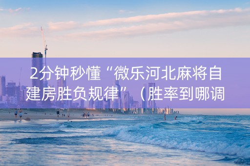 2分钟秒懂“微乐河北麻将自建房胜负规律”（胜率到哪调)