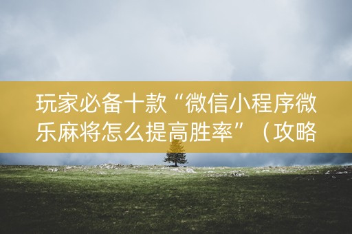玩家必备十款“微信小程序微乐麻将怎么提高胜率”（攻略插件)