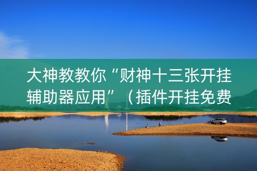 大神教教你“财神十三张开挂辅助器应用”（插件开挂免费AI)