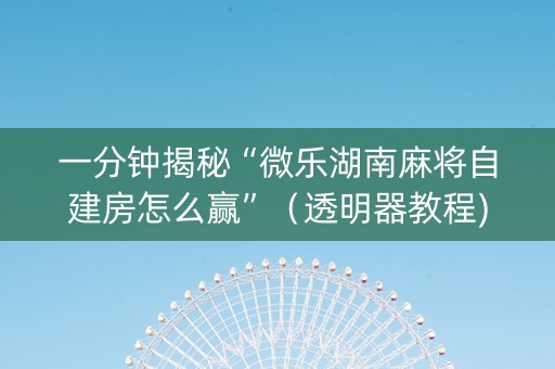 一分钟揭秘“微乐湖南麻将自建房怎么赢”（透明器教程)