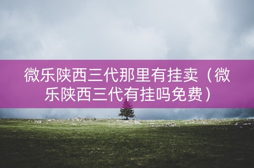 微乐陕西三代那里有挂卖（微乐陕西三代有挂吗免费）