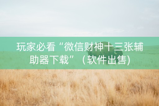 玩家必看“微信财神十三张辅助器下载”（软件出售)