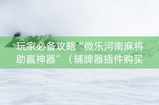 玩家必备攻略“微乐河南麻将助赢神器”（辅牌器插件购买)