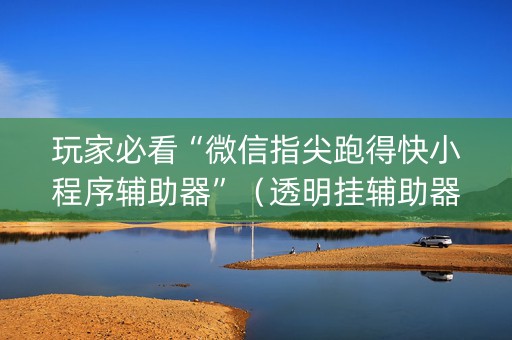玩家必看“微信指尖跑得快小程序辅助器”（透明挂辅助器)